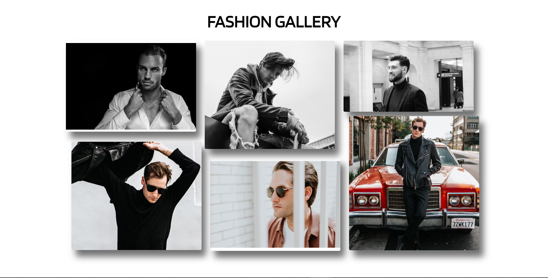 Creative portfolio interface